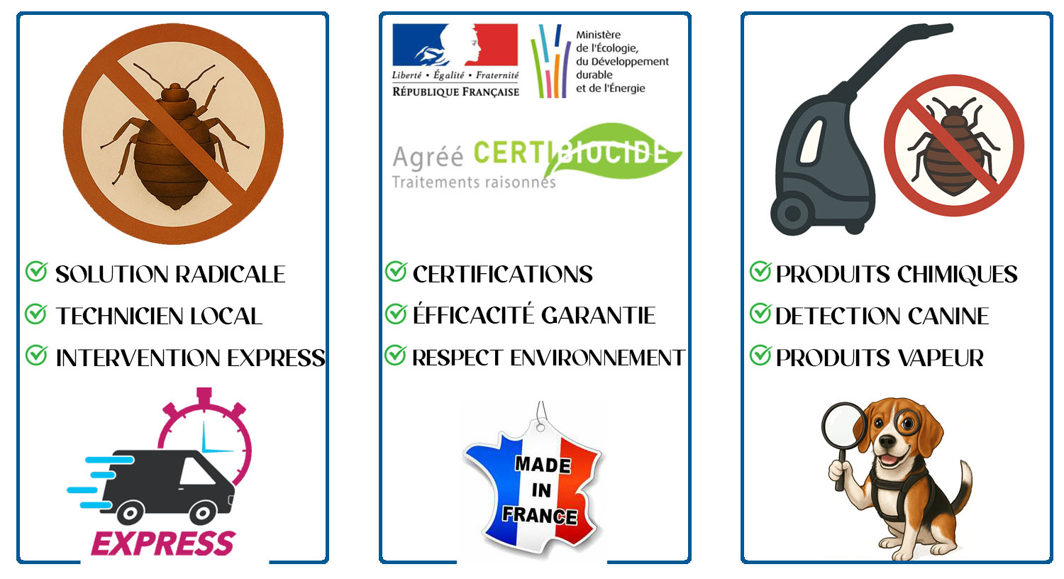 Punaises de Lit Maisons Laffitte