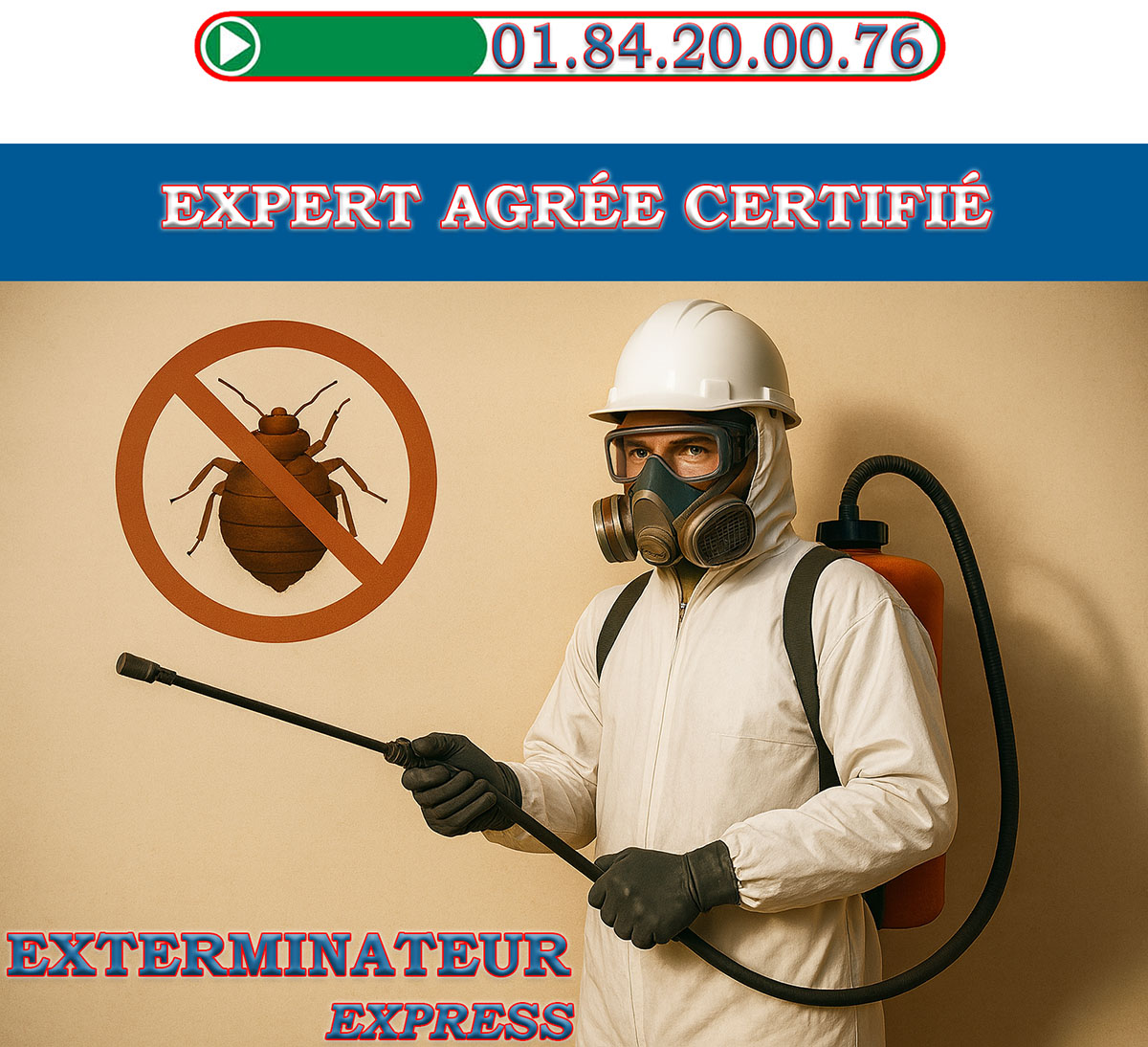 Punaises de Lit Maisons Laffitte